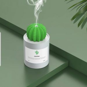 Cactus steamer