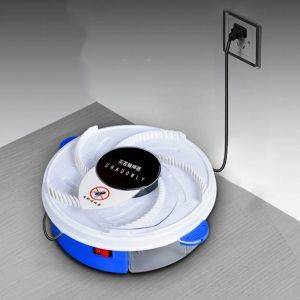 Fly catcher صائد الذباب