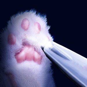 Pet paw trimmer