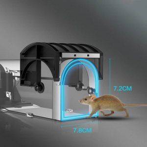 Rat trap مصيده فئران