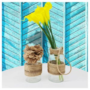 Mimosa Jars -Transparent (set of 2)