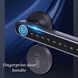 Fingerprint Door Handle